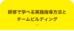 研修で学べる実践指導方法とチームビルディング