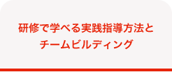 研修で学べる実践指導方法とチームビルディング